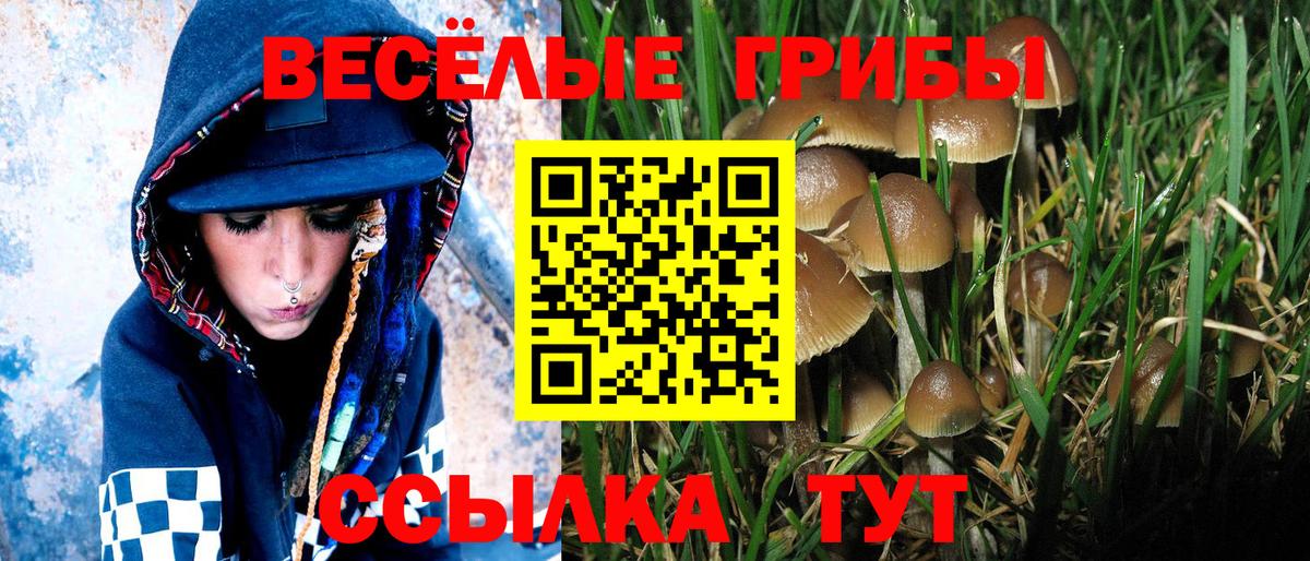 Псилоцибиновые грибы MAGIC MUSHROOMS Артём