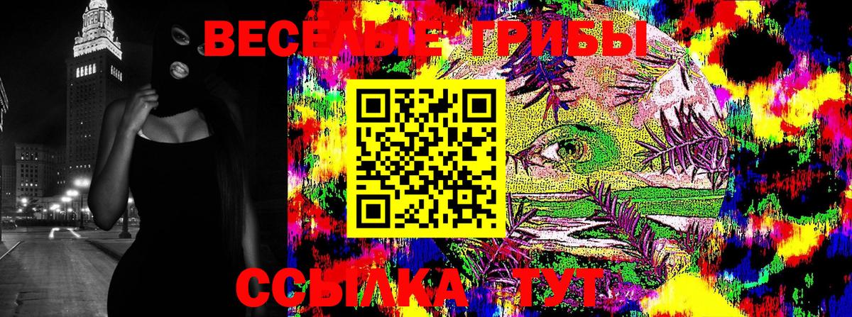 Артём  Галлюциногенные грибы мицелий  Вход с VPN 