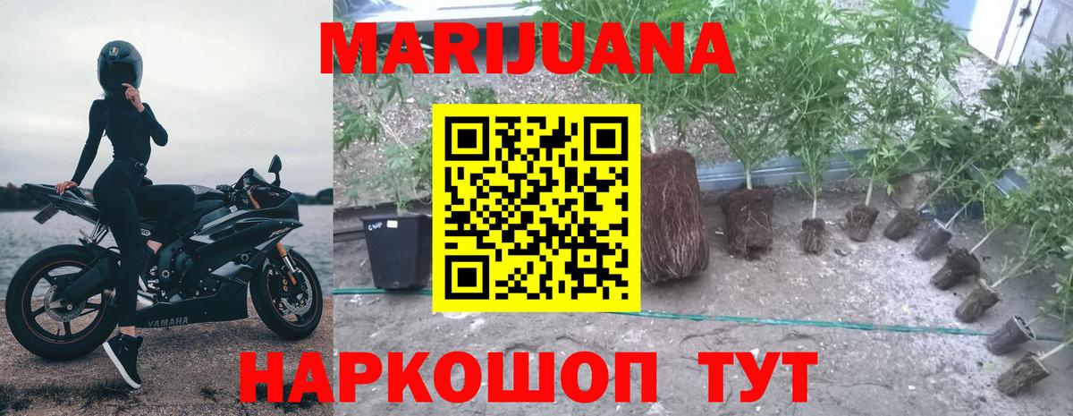 Бошки марихуана VHQ  Вход с VPN  Марихуана Ganja  Артём  Канабис план 
